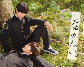 SEO优化和web前端哪个更有前景