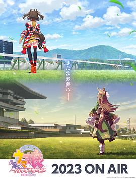 益阳整站seo优化价格